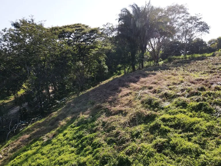 Front Row Mixed Use Property with an Easy Walk to Dominicalito Beach, photo 2