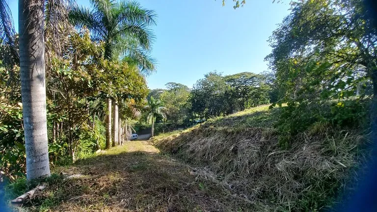 Front Row Mixed Use Property with an Easy Walk to Dominicalito Beach, photo 12