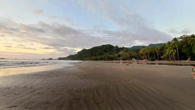 Front Row Mixed Use Property with an Easy Walk to Dominicalito Beach, photo 15