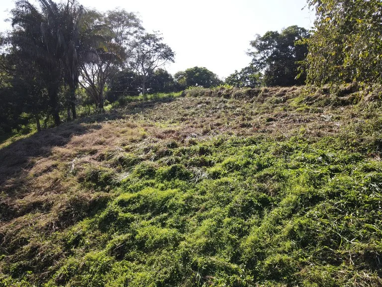 Front Row Mixed Use Property with an Easy Walk to Dominicalito Beach, photo 5