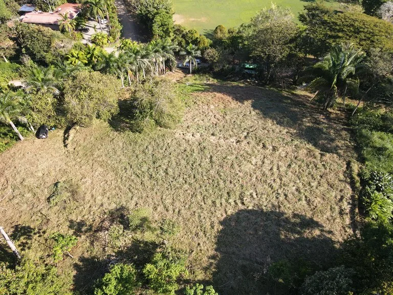 Front Row Mixed Use Property with an Easy Walk to Dominicalito Beach, photo 7