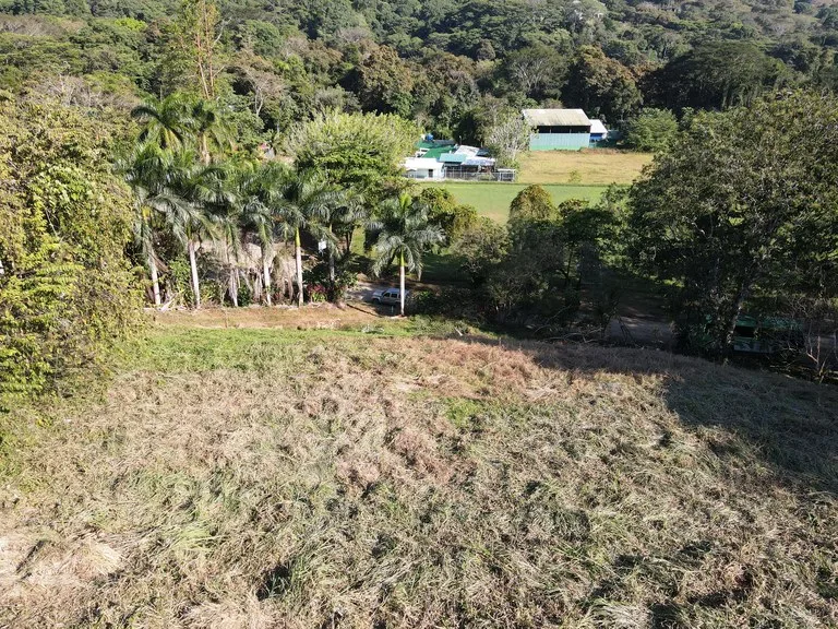 Front Row Mixed Use Property with an Easy Walk to Dominicalito Beach, photo 10