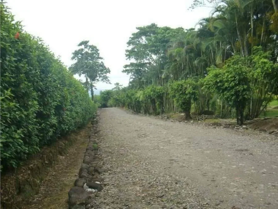 VENTA DE QUINTAS, HEREDIA, SARAPIQUÍ, RÍO FRÍO