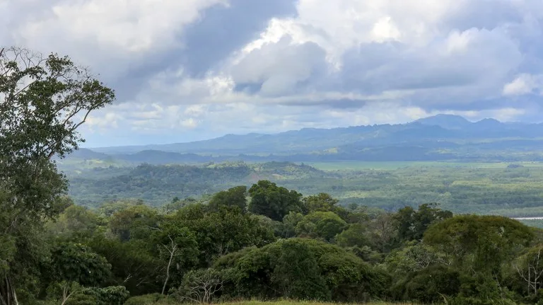 Unique Development Property Overlooking the Pristine Golfito Bay and Golfo Dulce, photo 2
