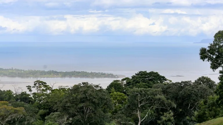 Unique Development Property Overlooking the Pristine Golfito Bay and Golfo Dulce, photo 4