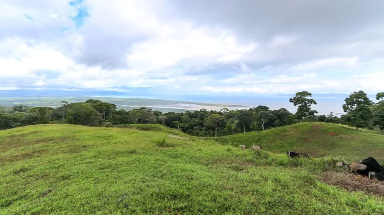 Unique Development Property Overlooking the Pristine Golfito Bay and Golfo Dulce, photo 9