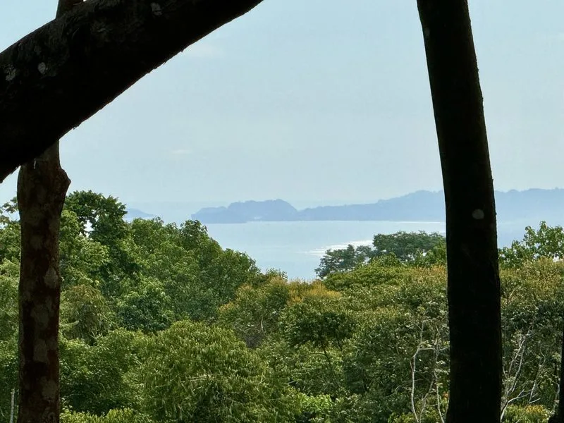 Land For Sale in Dominical, photo 2