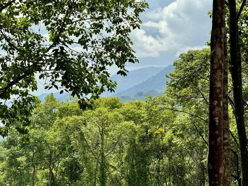 Land For Sale in Dominical, photo 3