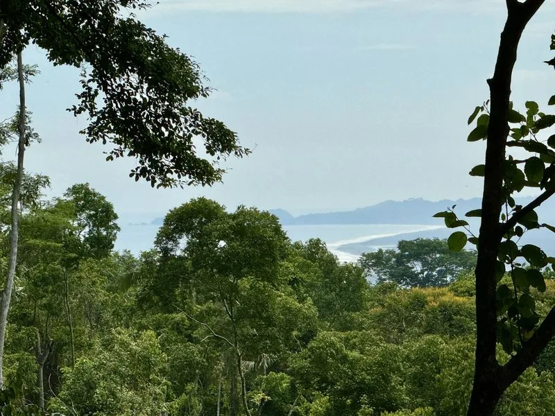 Land For Sale in Dominical, photo 5