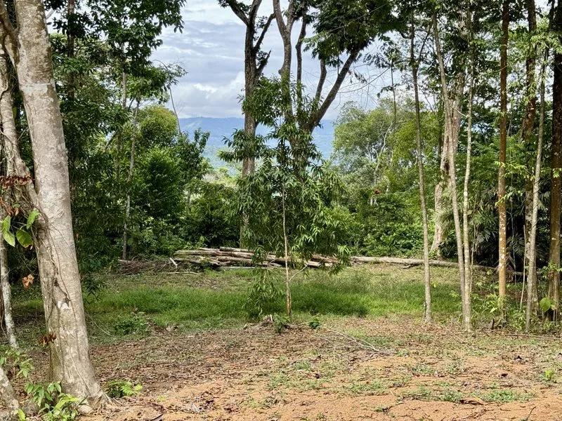 Land For Sale in Dominical, photo 6