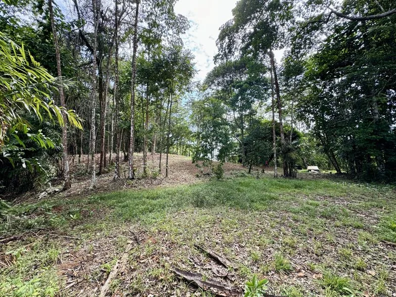 Land For Sale in Dominical, photo 7