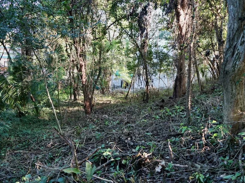 Land For Sale in Playa Pelada, photo 2