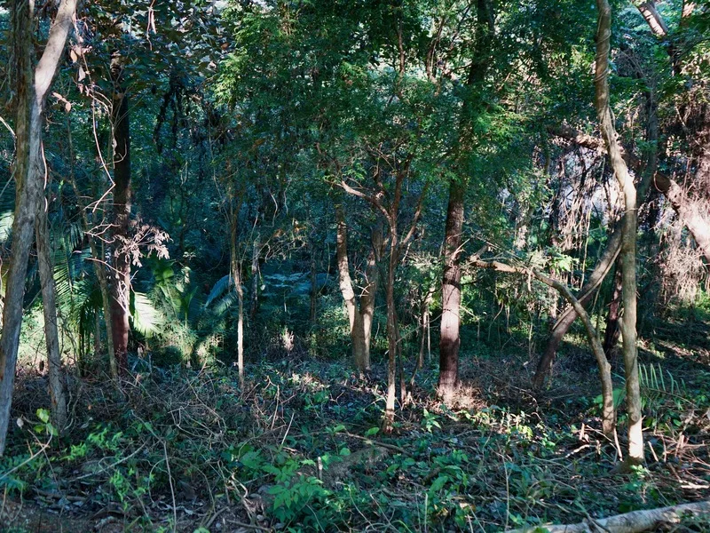 Land For Sale in Playa Pelada, photo 11