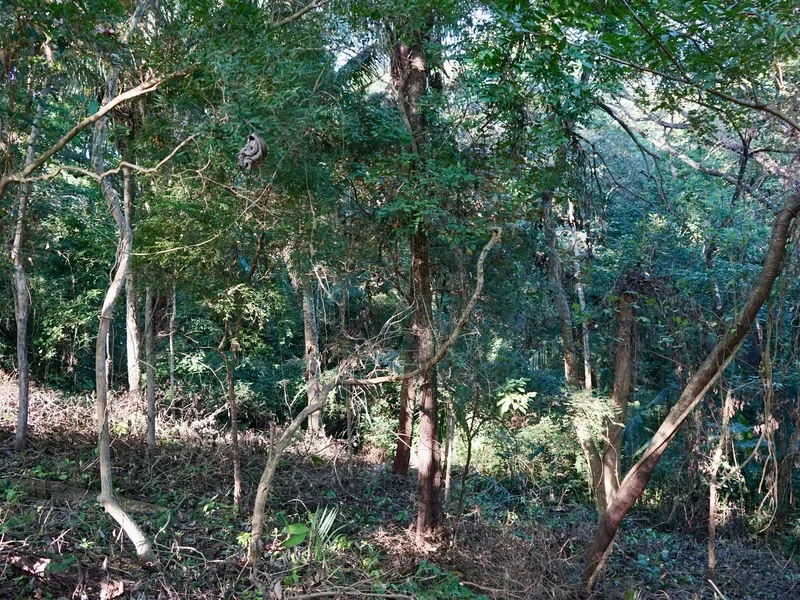 Land For Sale in Playa Pelada, photo 12