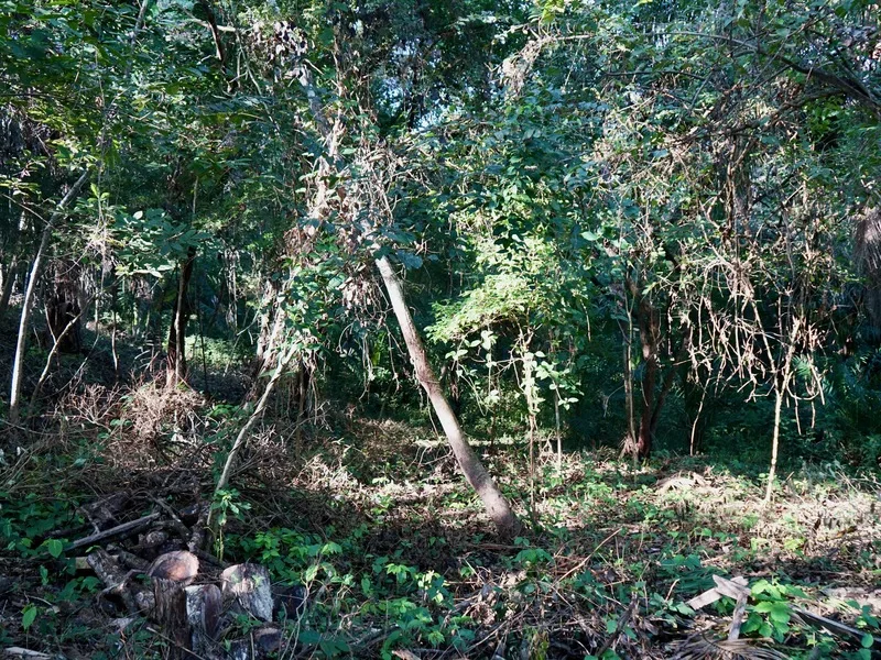 Land For Sale in Playa Pelada, photo 13