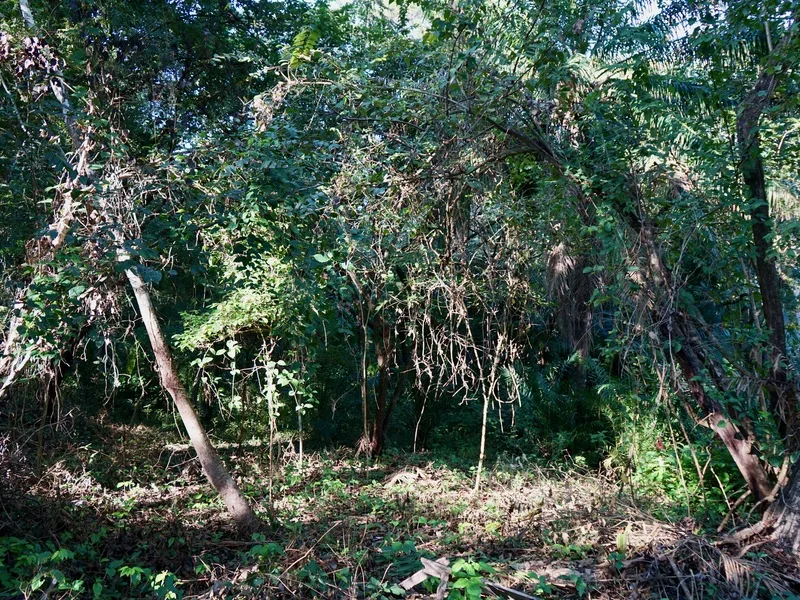 Land For Sale in Playa Pelada, photo 14