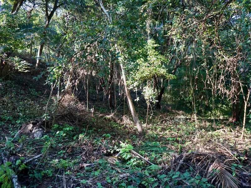 Land For Sale in Playa Pelada, photo 15
