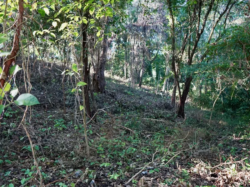 Land For Sale in Playa Pelada, photo 3
