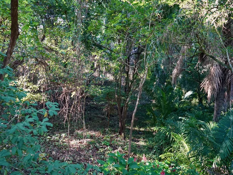 Land For Sale in Playa Pelada, photo 4