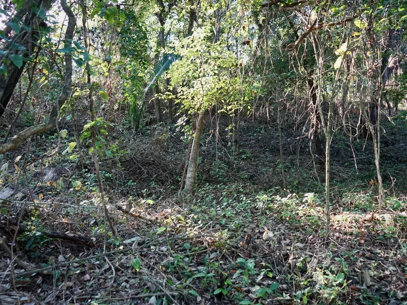 Land For Sale in Playa Pelada, photo 5
