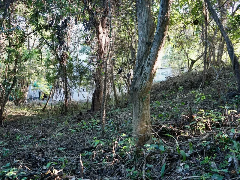 Land For Sale in Playa Pelada, photo 6