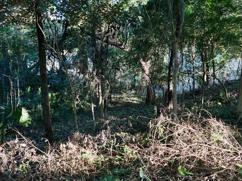 Land For Sale in Playa Pelada, photo 7