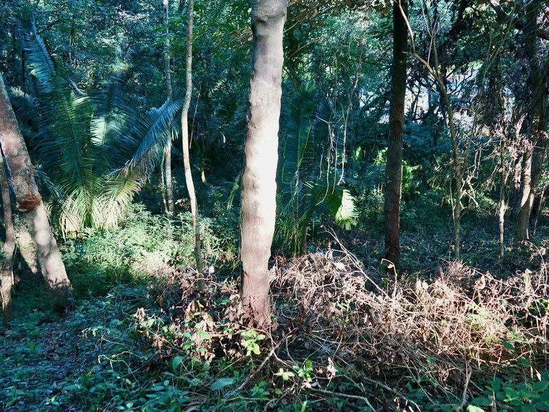 Land For Sale in Playa Pelada, photo 8