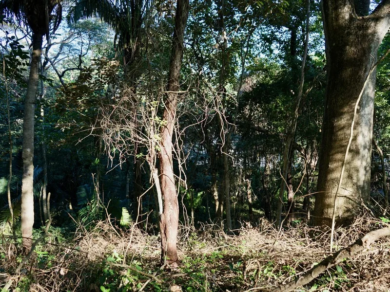 Land For Sale in Playa Pelada, photo 9