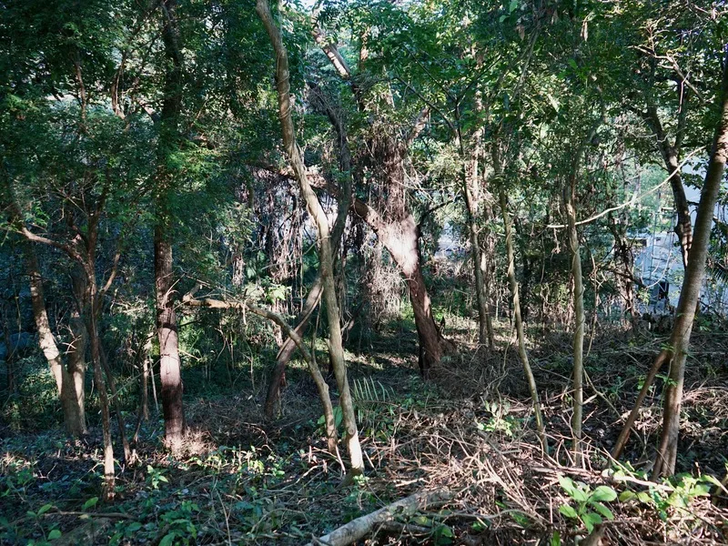 Land For Sale in Playa Pelada, photo 10