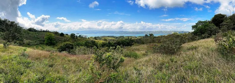 Agricultural Land in Río Piedras, photo 2