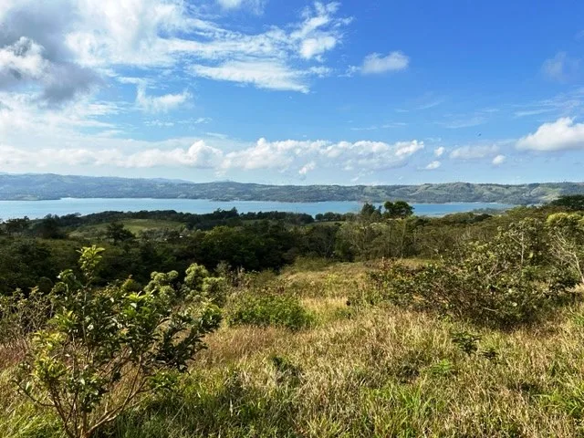 Agricultural Land in Río Piedras, photo 11