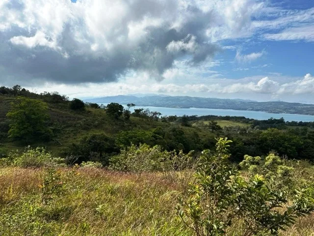 Agricultural Land in Río Piedras, photo 3