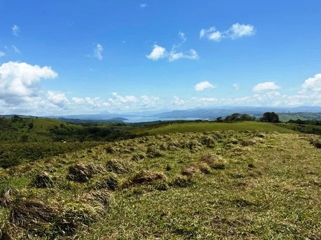 Agricultural Land in Río Piedras, photo 5