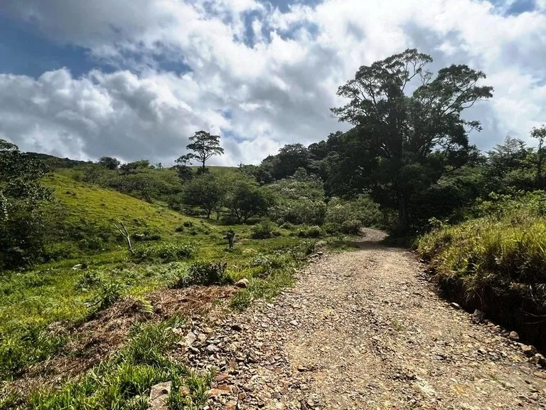 Agricultural Land in Río Piedras, photo 8