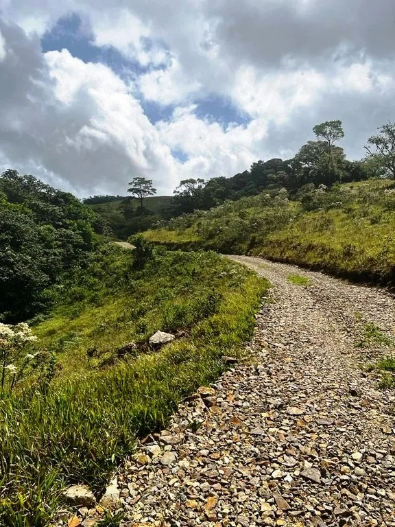 Agricultural Land in Río Piedras, photo 9