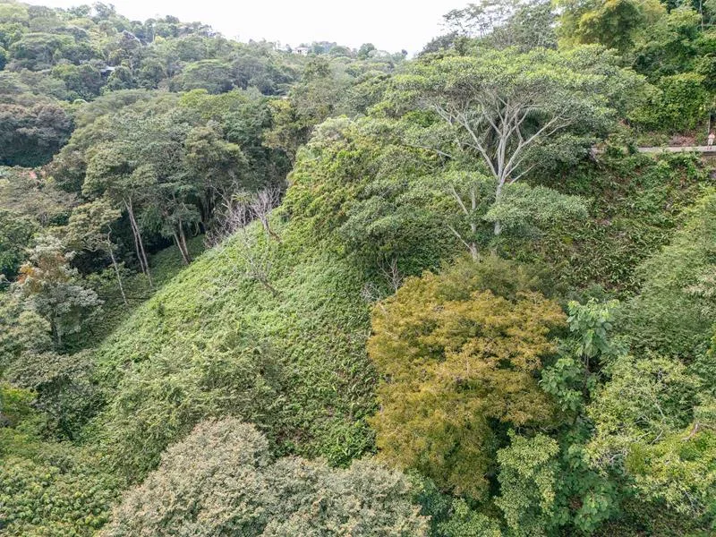 Valle Pura Vida Oasis, Three acres of bliss, photo 13
