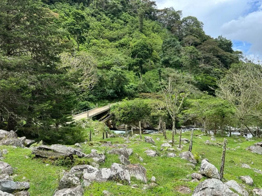 Herradura Farm for Sale: 100.6 -Hectare (248.6 ac) Water and Forest Reserve in Chirripó, photo 11