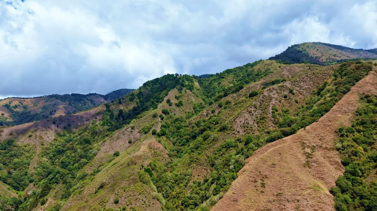 Herradura Farm for Sale: 100.6 -Hectare (248.6 ac) Water and Forest Reserve in Chirripó, photo 6