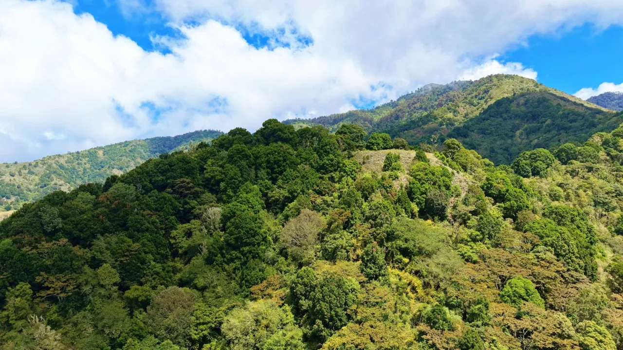Herradura Farm for Sale: 100.6 -Hectare (248.6 ac) Water and Forest Reserve in Chirripó, photo 7