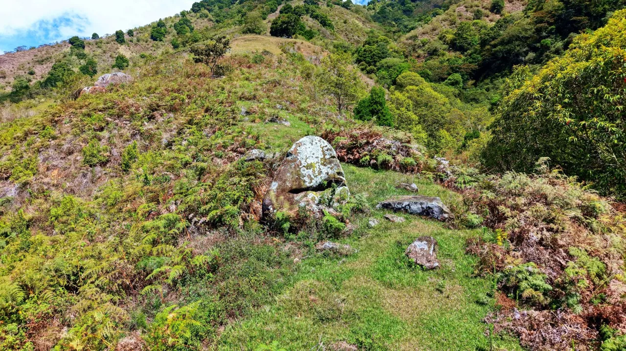 Herradura Farm for Sale: 100.6 -Hectare (248.6 ac) Water and Forest Reserve in Chirripó, photo 8