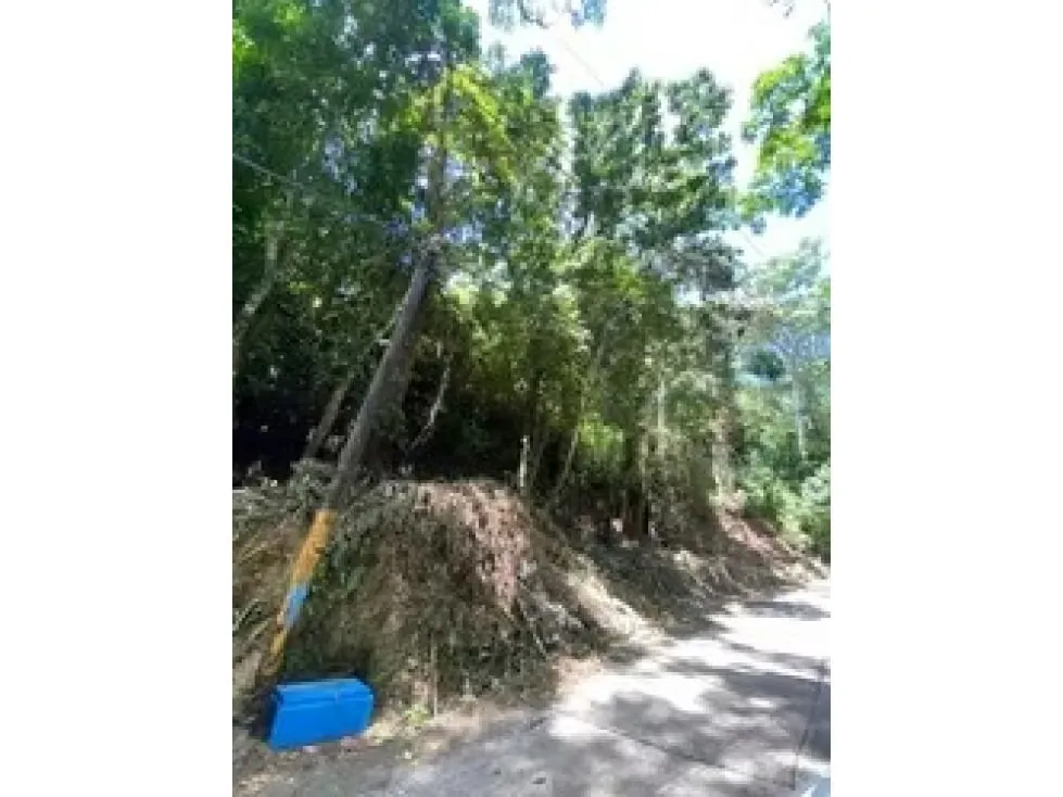 Land for Sale in Llano Grande Puriscal, photo 4