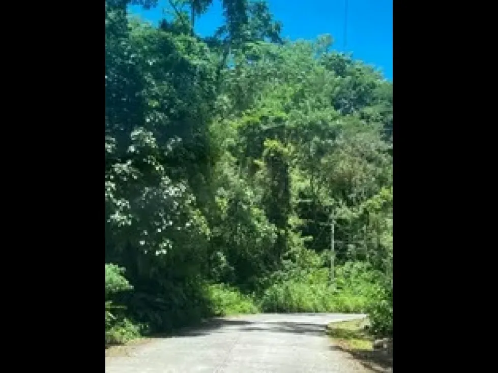 Land for Sale in Llano Grande Puriscal, photo 5