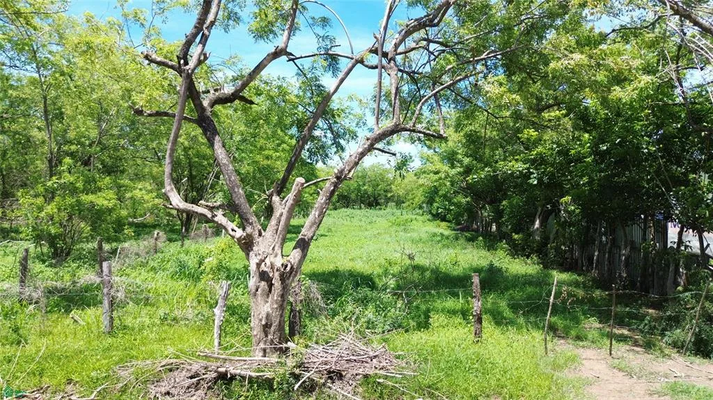 Lot for sale in Tamarindo, Santa Cruz, Costa Rica, photo 6