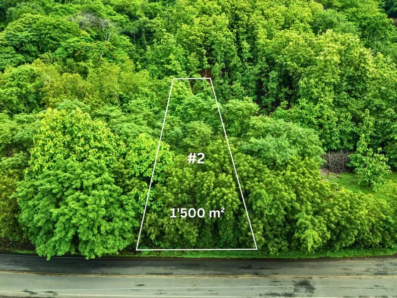 Land For Sale in Junquillal, photo 2