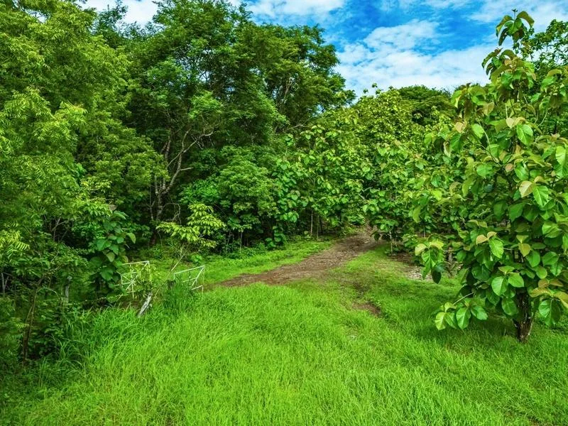 Land For Sale in Junquillal, photo 8