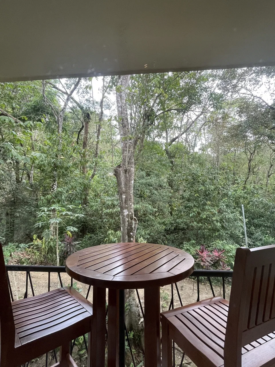 Rio Mono Luxury Condo, Valle Pura Vida!
