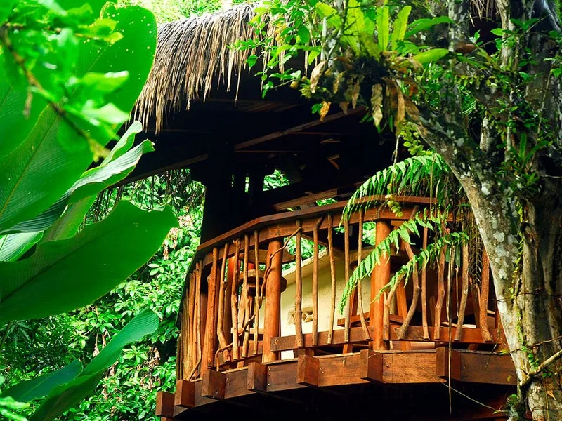 12 Bed Hotel / Leisure For Sale in Golfito, photo 2