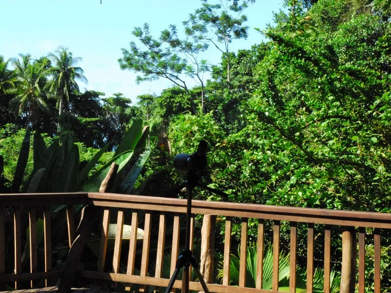 12 Bed Hotel / Leisure For Sale in Golfito, photo 6