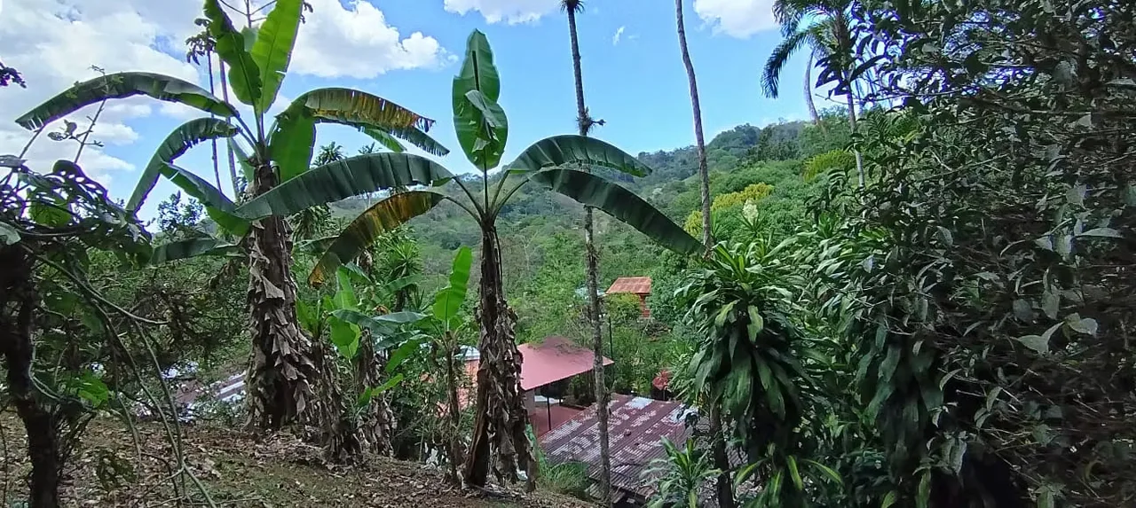 Vivir en el campo sin renunciar a la cercanía con la capital es un privilegio cada vez más ..., photo 11