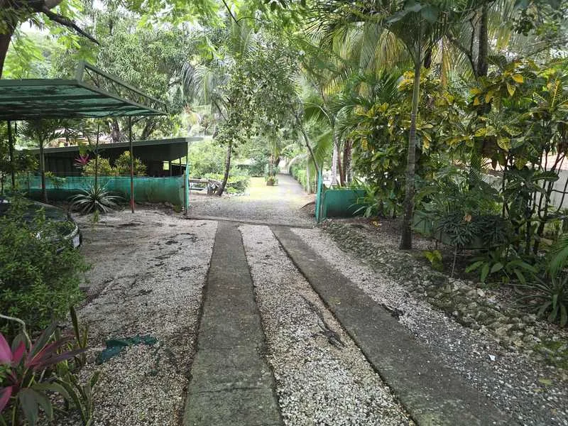 3 Bed Single Family Homes For Sale in Playa Carrillo, photo 9